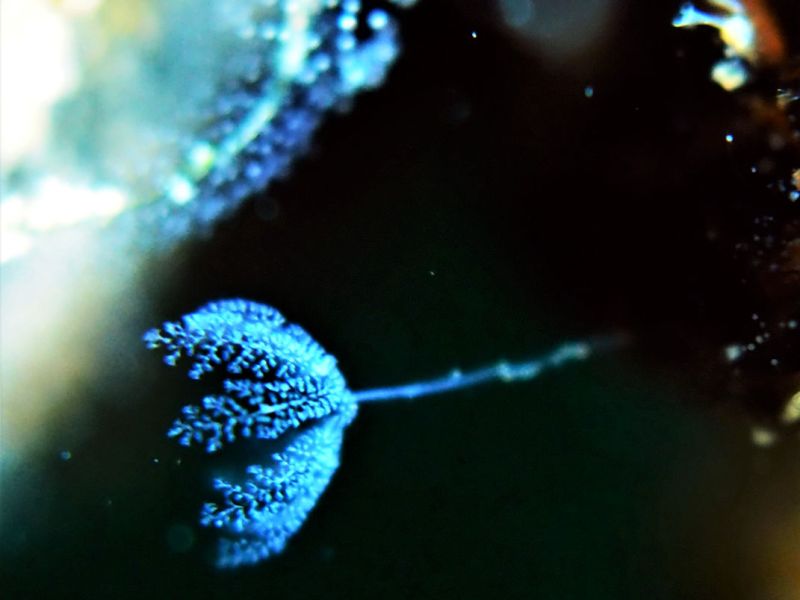 Die Kleinsten im See – ein ganz besonderer&nbsp;Film