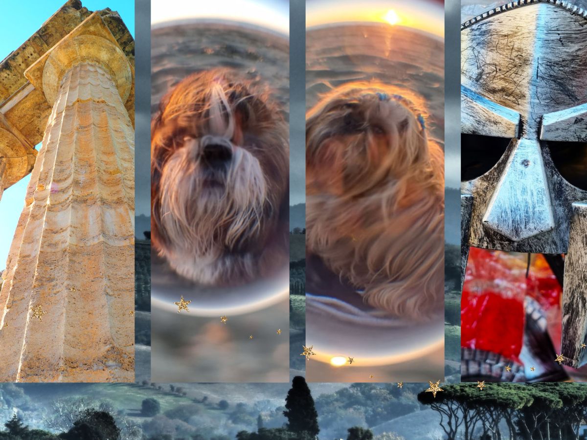 Das Heulen der Alarmanlage…