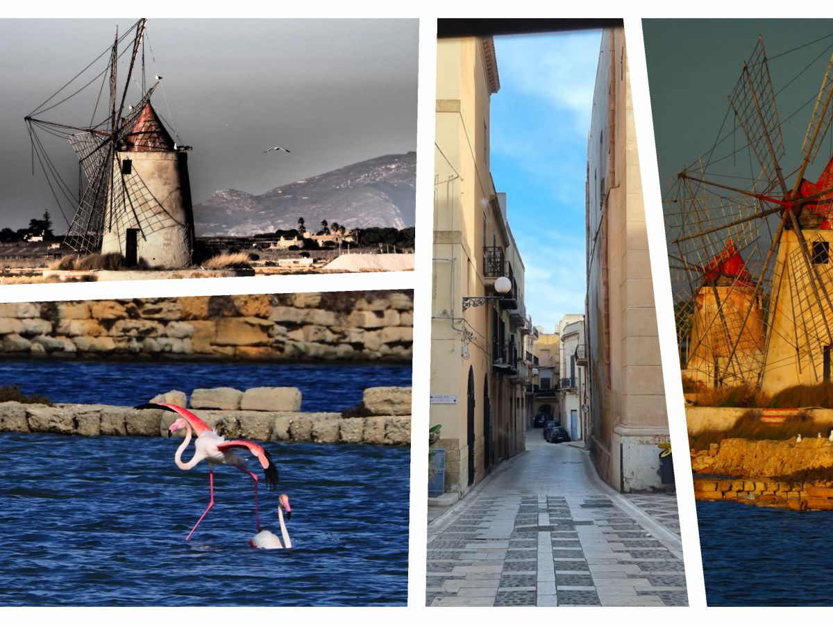 Flamingotanz an den&nbsp;Salinen