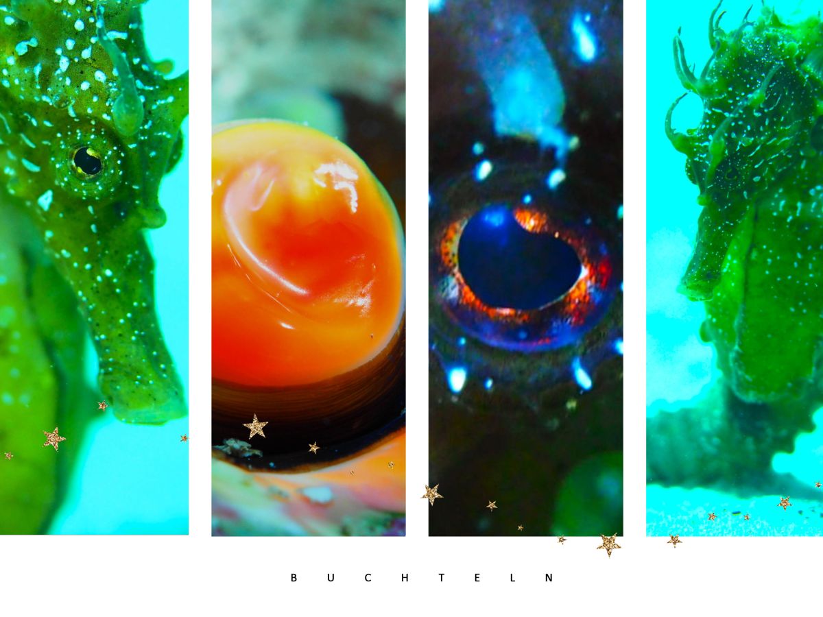 Endlich mal wieder&nbsp;Buchteln…