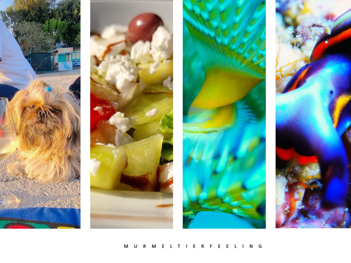 Murmeltierfeeling…