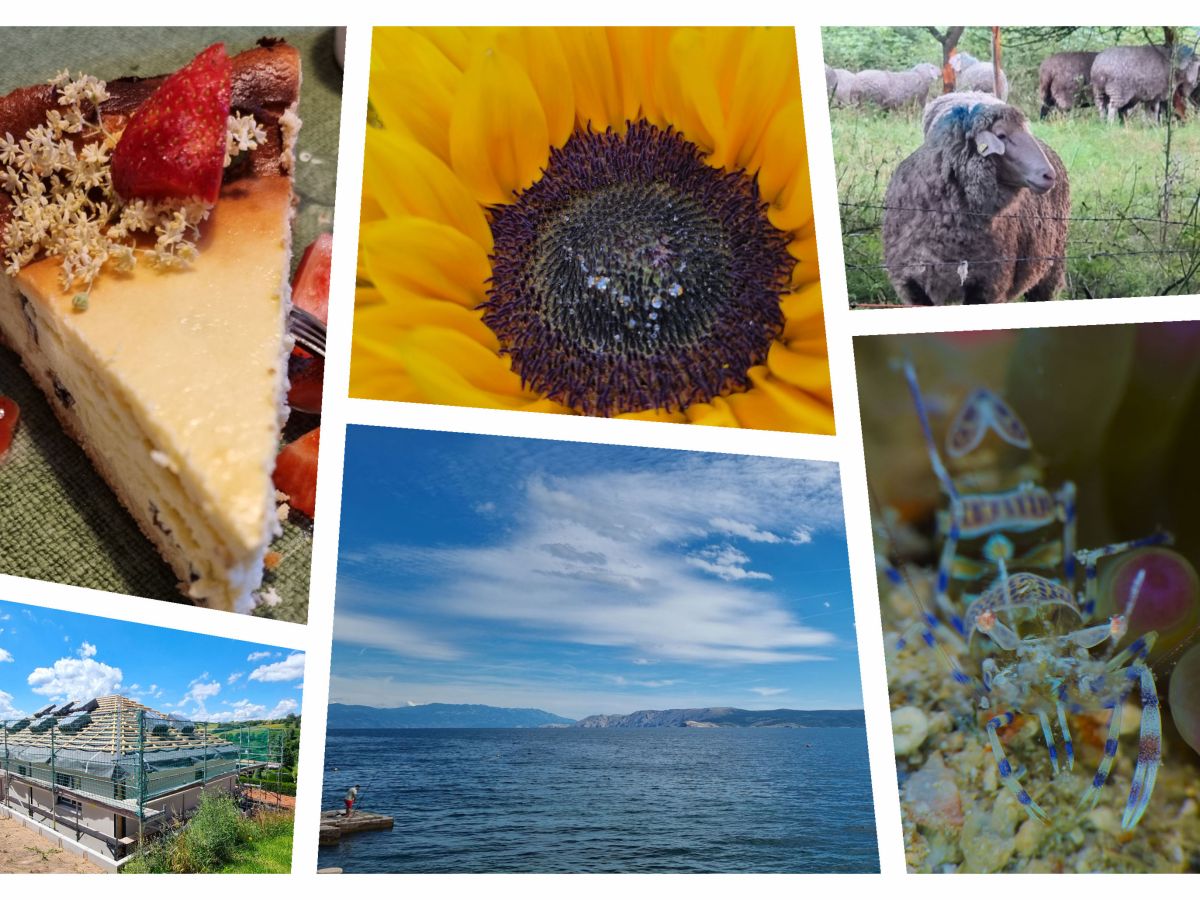 Long Time no Read…oder so&nbsp;ähnlich…