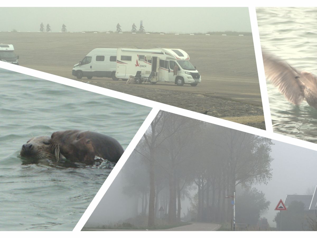 Vom Nebel verfolgt….