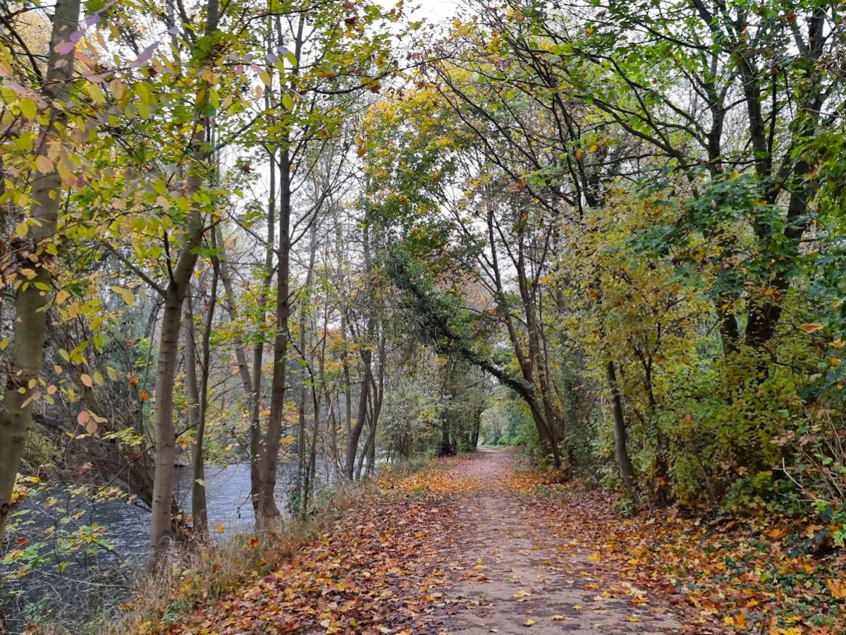 Herbstlaubspaziergang, Backfisch und ein langes Gespräch im Nieselregen…