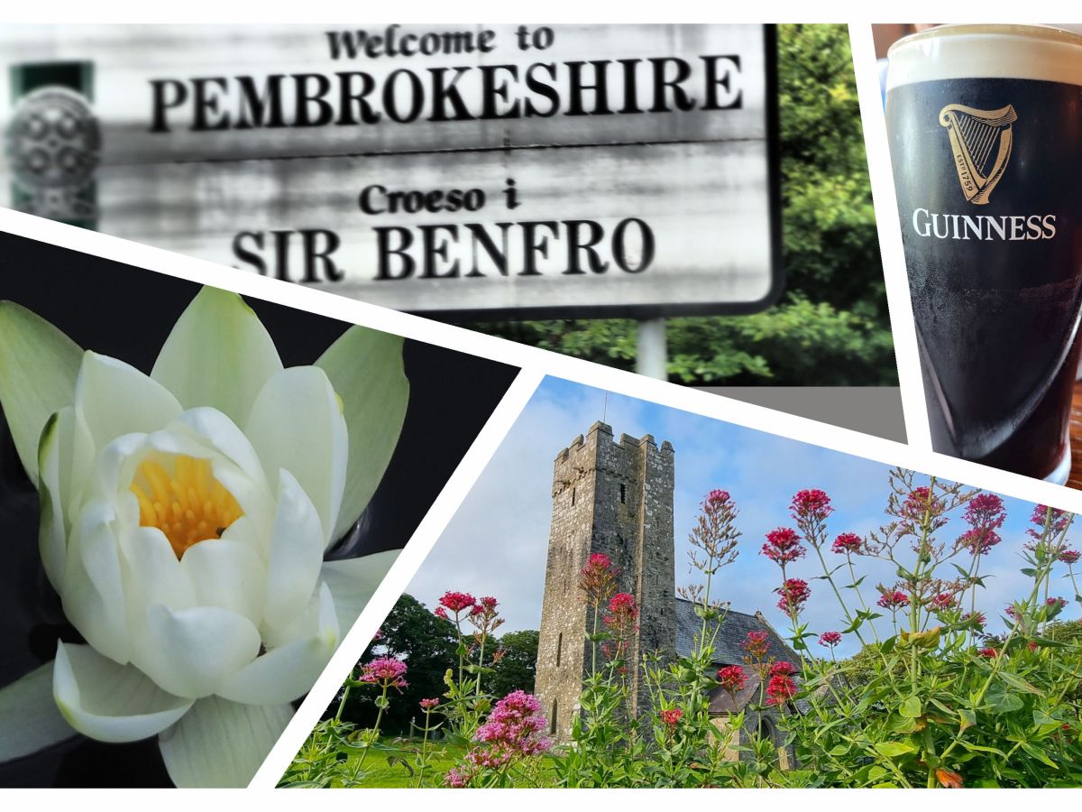 Seerosen, eine Burg und 2 Guinness,&nbsp;please!