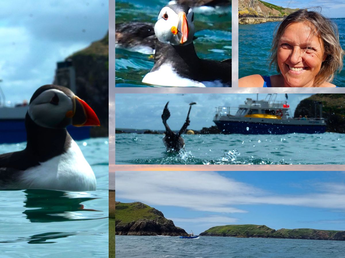 Puffinschnorcheln, Regen und hohe&nbsp;Wellen…