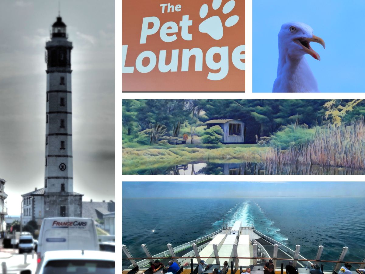 Kanalquerung bei Traumwetter und&nbsp;dann?