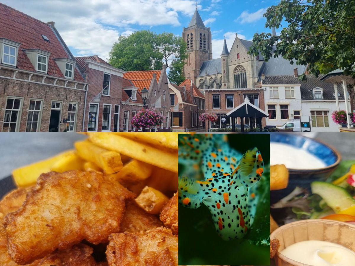 Kibbeling-Kurzbesuch in Tholen…