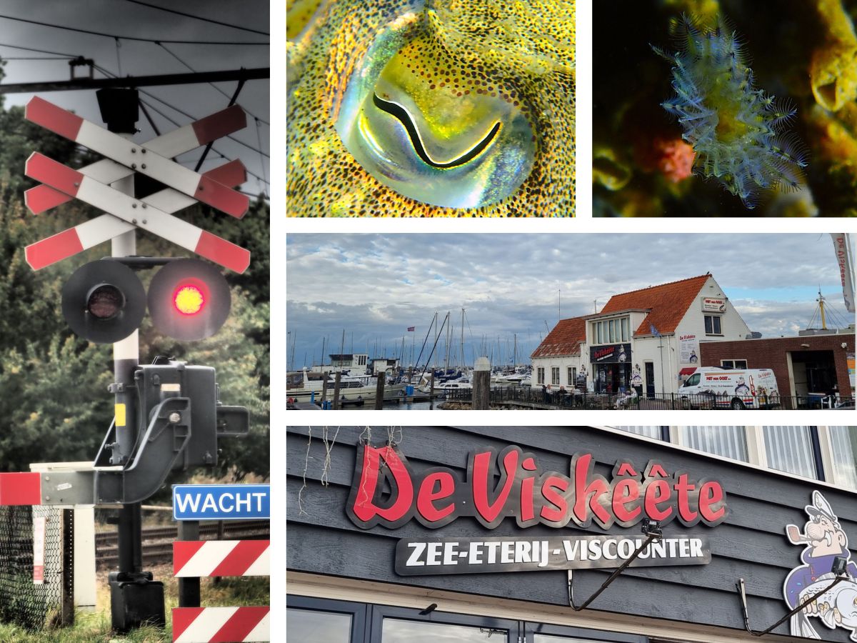 Nicht ohne unsere „Lieblingsfischbutze“