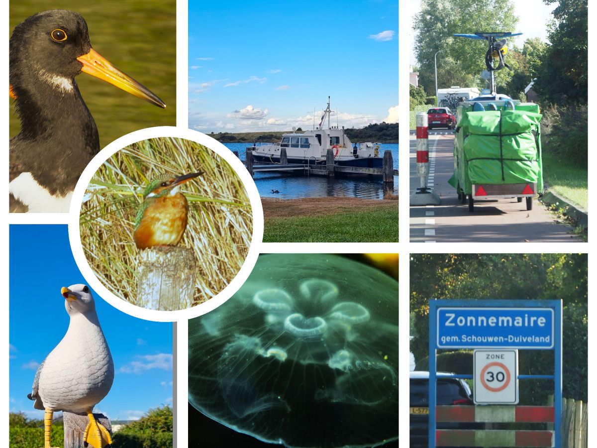 Cabriotauchen, Eisvogel und eine Stellplatzentweihung…