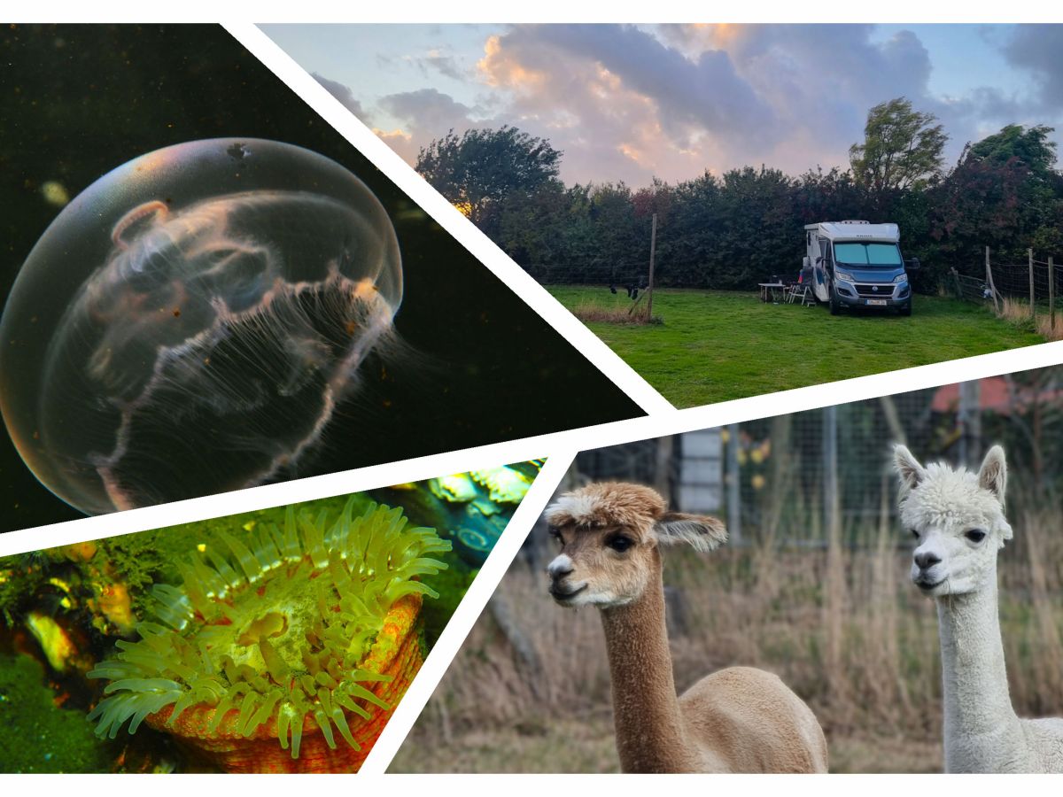 Vom Winde verweht….