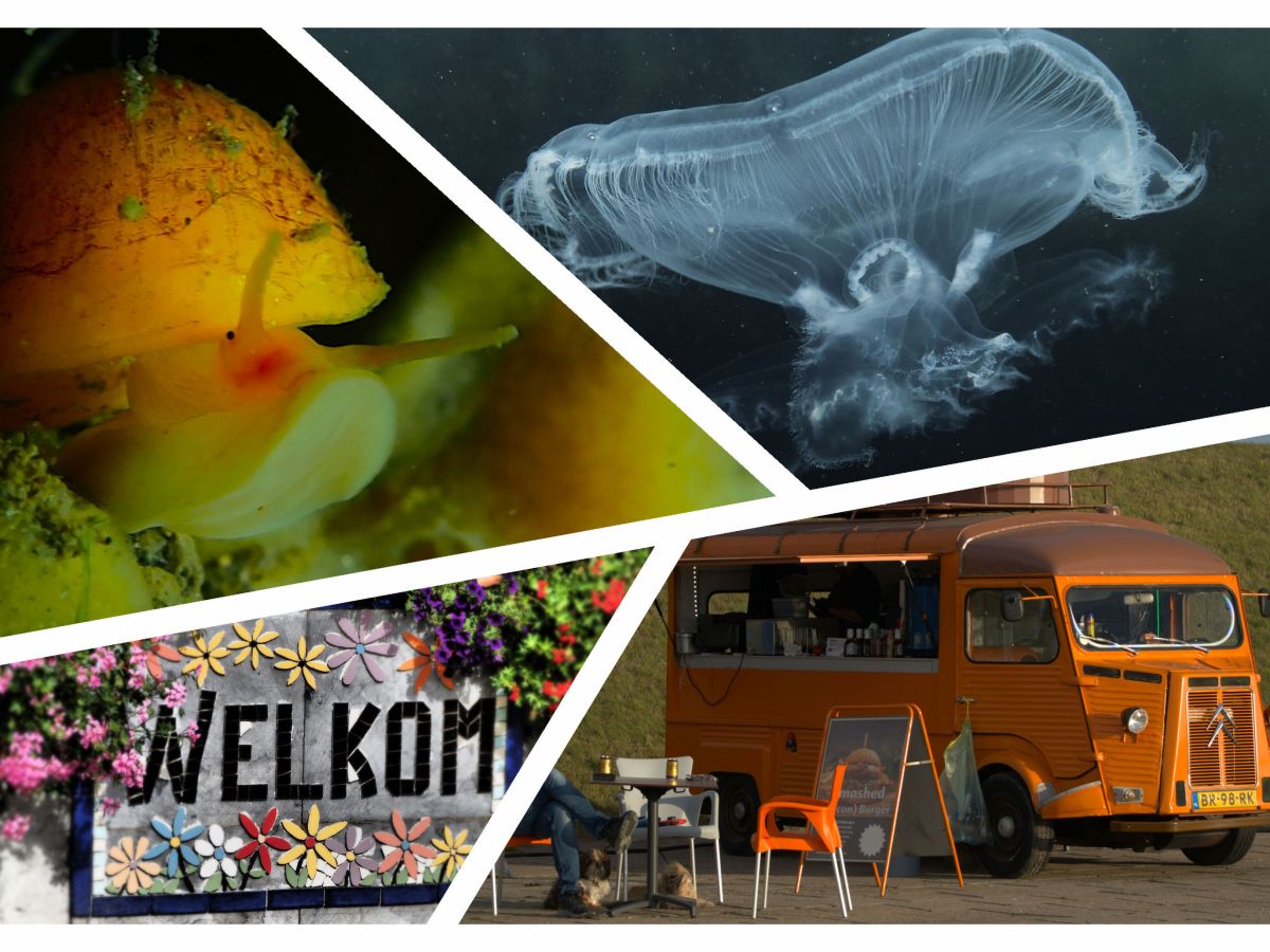 „Das Wasser ist auf der anderen Seite…“