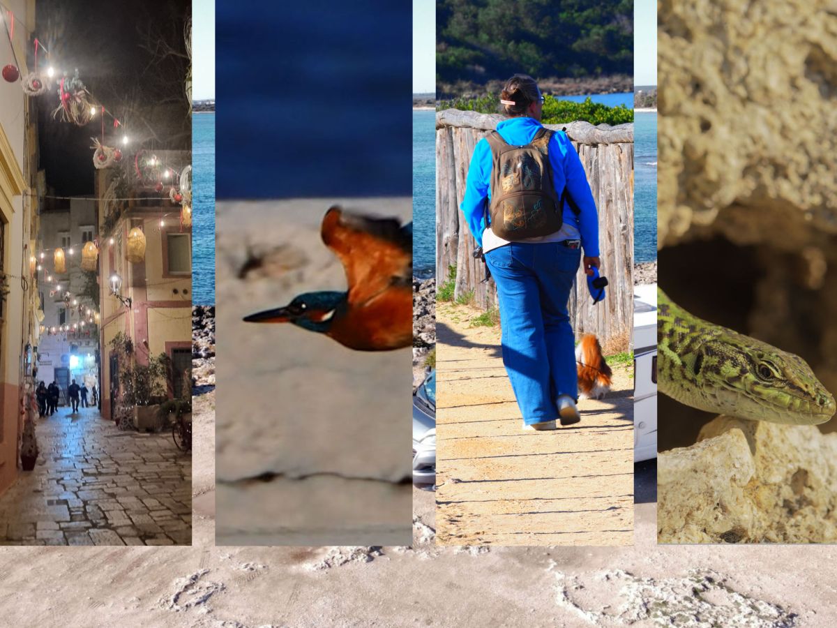 Zahlenfauxpas, Eisvogel und plötzlich in Gallipoli….