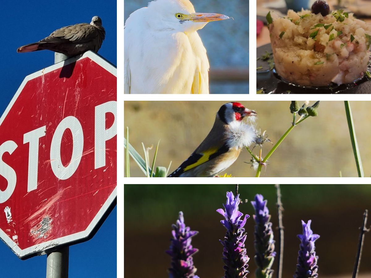 Seelebaumeln in Diano&nbsp;Marina…