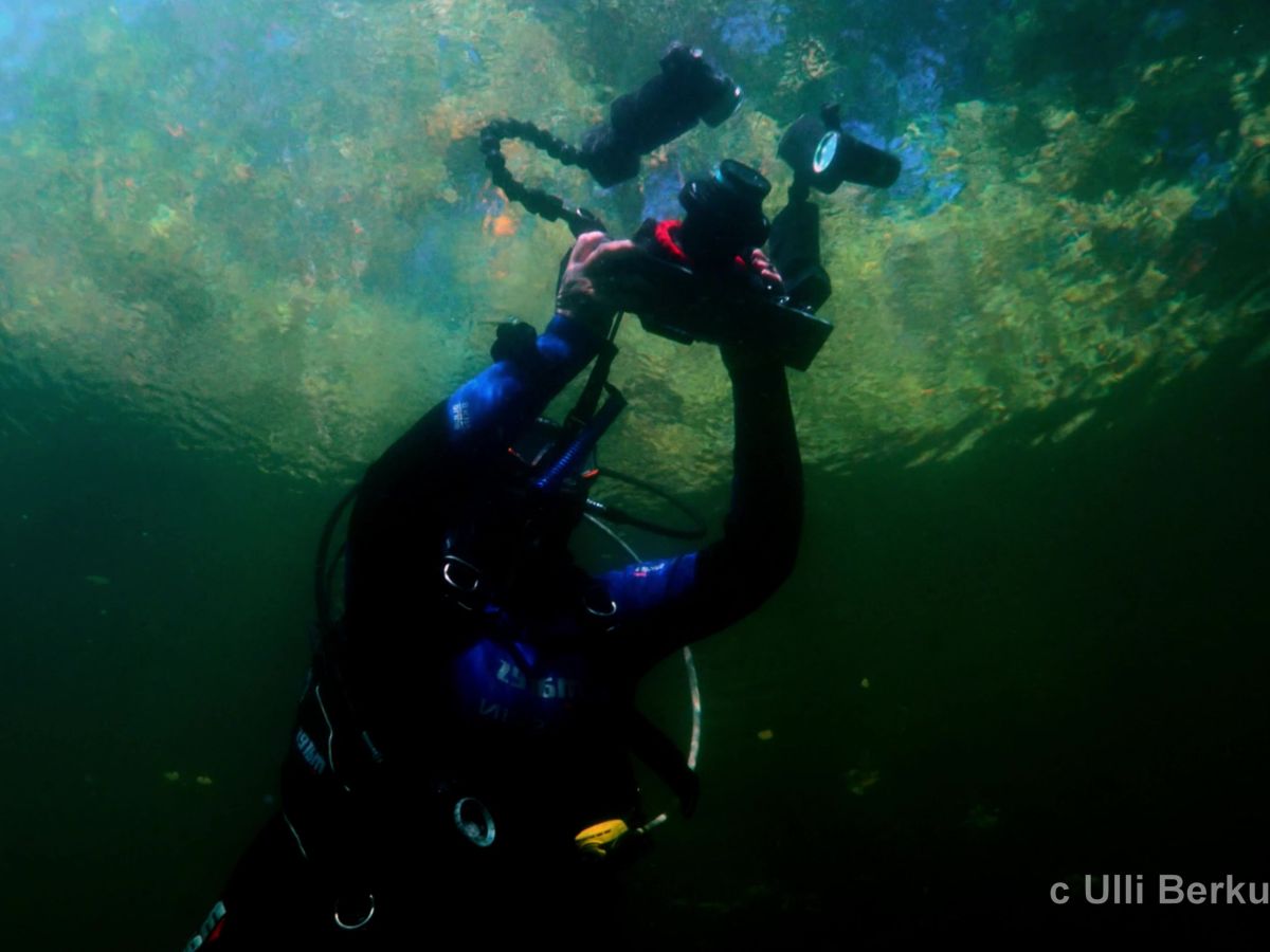Unterwassermomente der besonderen&nbsp;Art….