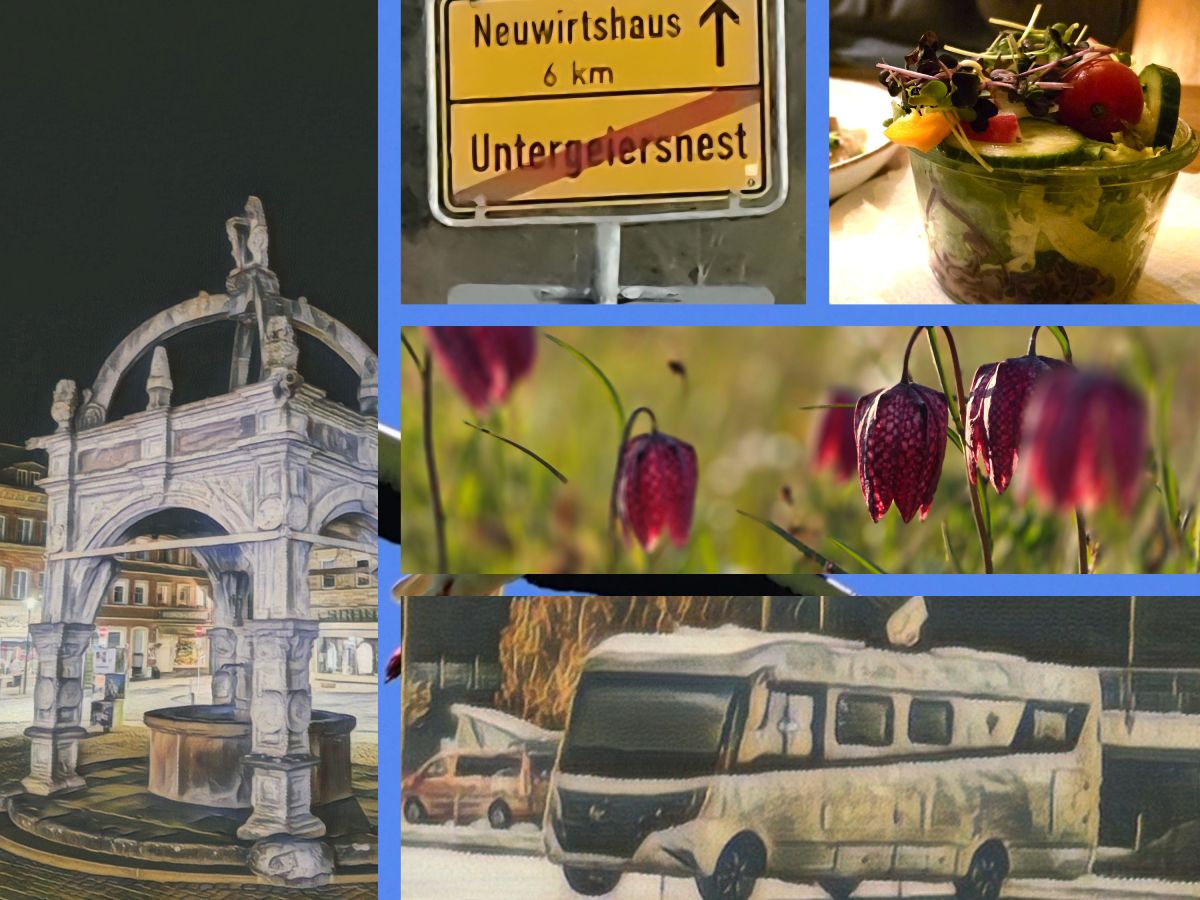 Hammelburgsche Erkenntnis…